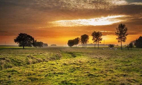 Life Style T-Shirts - Yellow - Cosmica Global