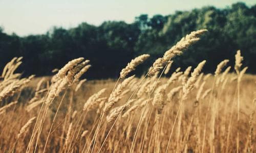 Life Style Jeans - White - Cosmica Global