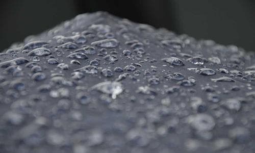 Sports Shorts - Yellow - Cosmica Global