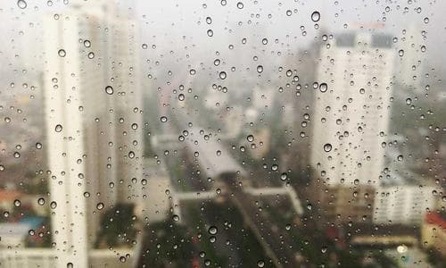 Kids Shorts - Navy - Cosmica Global