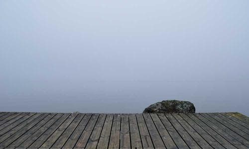 Life Style Polo Shirts - Yellow - Cosmica Global