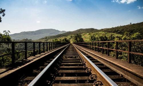 Sports Wallets - Olive - Cosmica Global