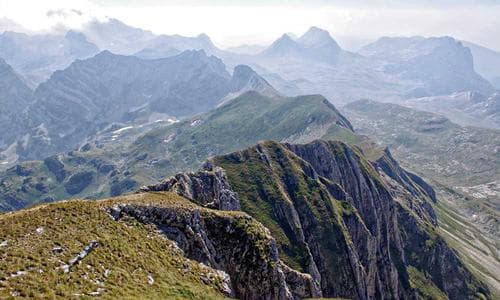 Life Style Jeans - Olive - Cosmica Global