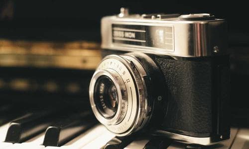 Leather Card Holders - Green - Cosmica Global