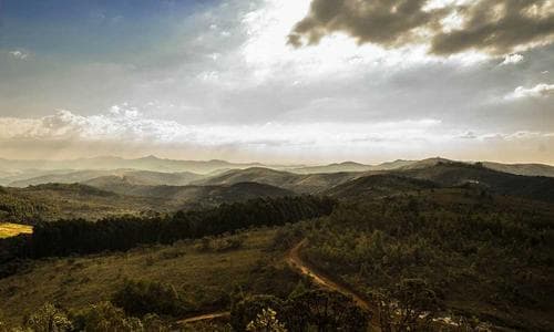 Kids Polo Shirts - Grey - Cosmica Global