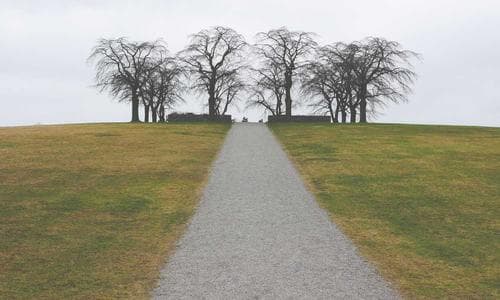 Sports Polo Shirts - White - Cosmica Global