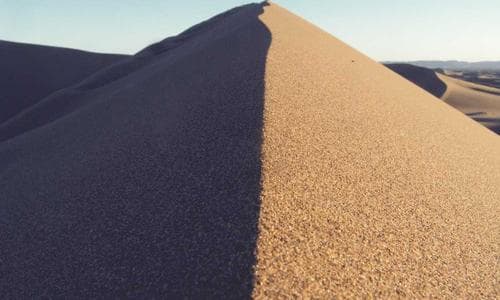 Kids Shorts - Navy - Cosmica Global