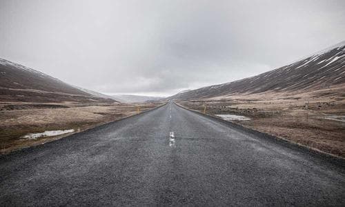 Sports Wallets - Green - Cosmica Global