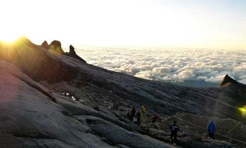Mens Shorts - Red - Cosmica Global