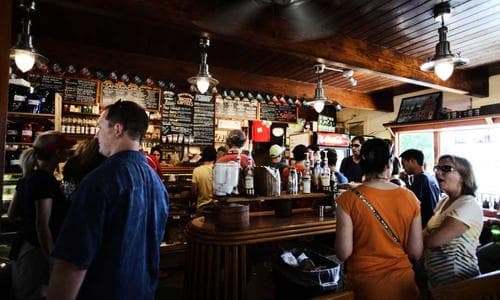 Sports Shirts - Brown - Cosmica Global