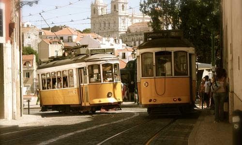 Leather Belts - Blue - Cosmica Global