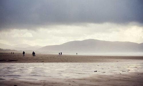 Life Style Polo Shirts - Olive - Cosmica Global