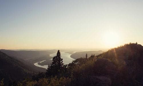 Life Style Shorts - Black - Cosmica Global