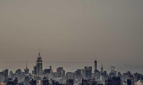 Womens Belts - Red - Cosmica Global