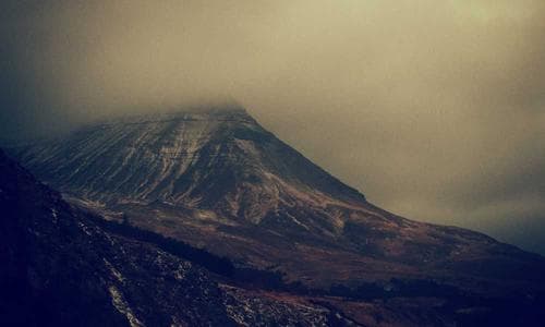 Mens Wallets - Olive - Cosmica Global