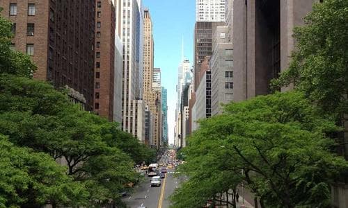 Womens Dresses - Yellow - Cosmica Global