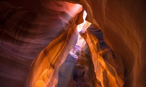 Sports Hoodies - Grey - Cosmica Global