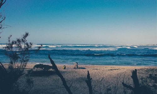 Mens Wallets - Black - Cosmica Global