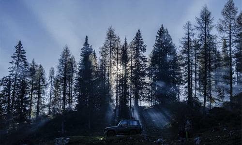 Womens Caps - Black - Cosmica Global