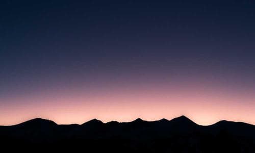 Kids Belts - Olive - Cosmica Global