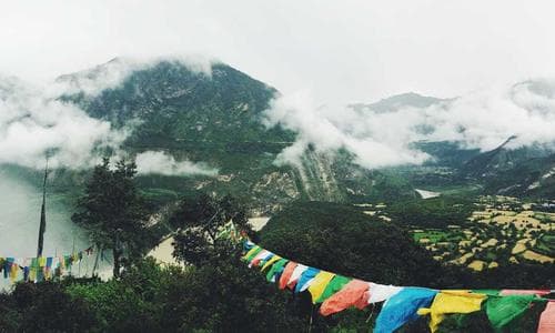 Mens Fatua - Brown - Cosmica Global