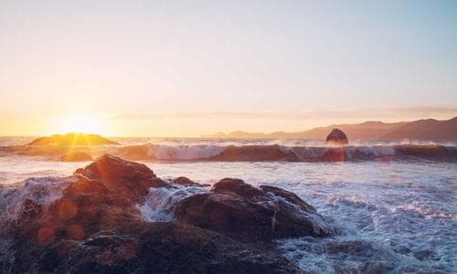 Sports Shirts - Yellow - Cosmica Global