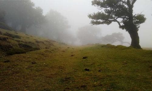 Accessories Keychains - Red - Cosmica Global