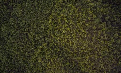 Accessories Wallets - Black - Cosmica Global