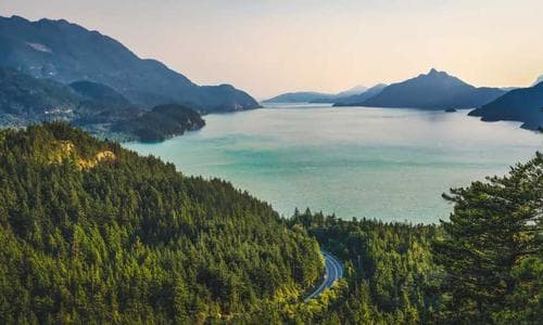 Kids T-Shirts - Black - Cosmica Global