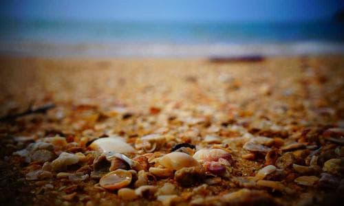 Life Style Wallets - Grey - Cosmica Global