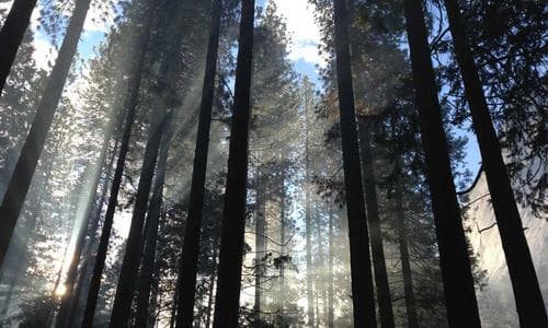 Life Style Belts - Grey - Cosmica Global