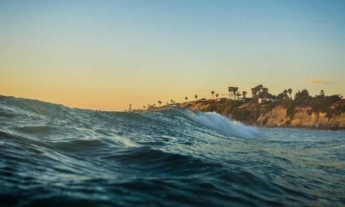 Sports Shorts - Navy - Cosmica Global